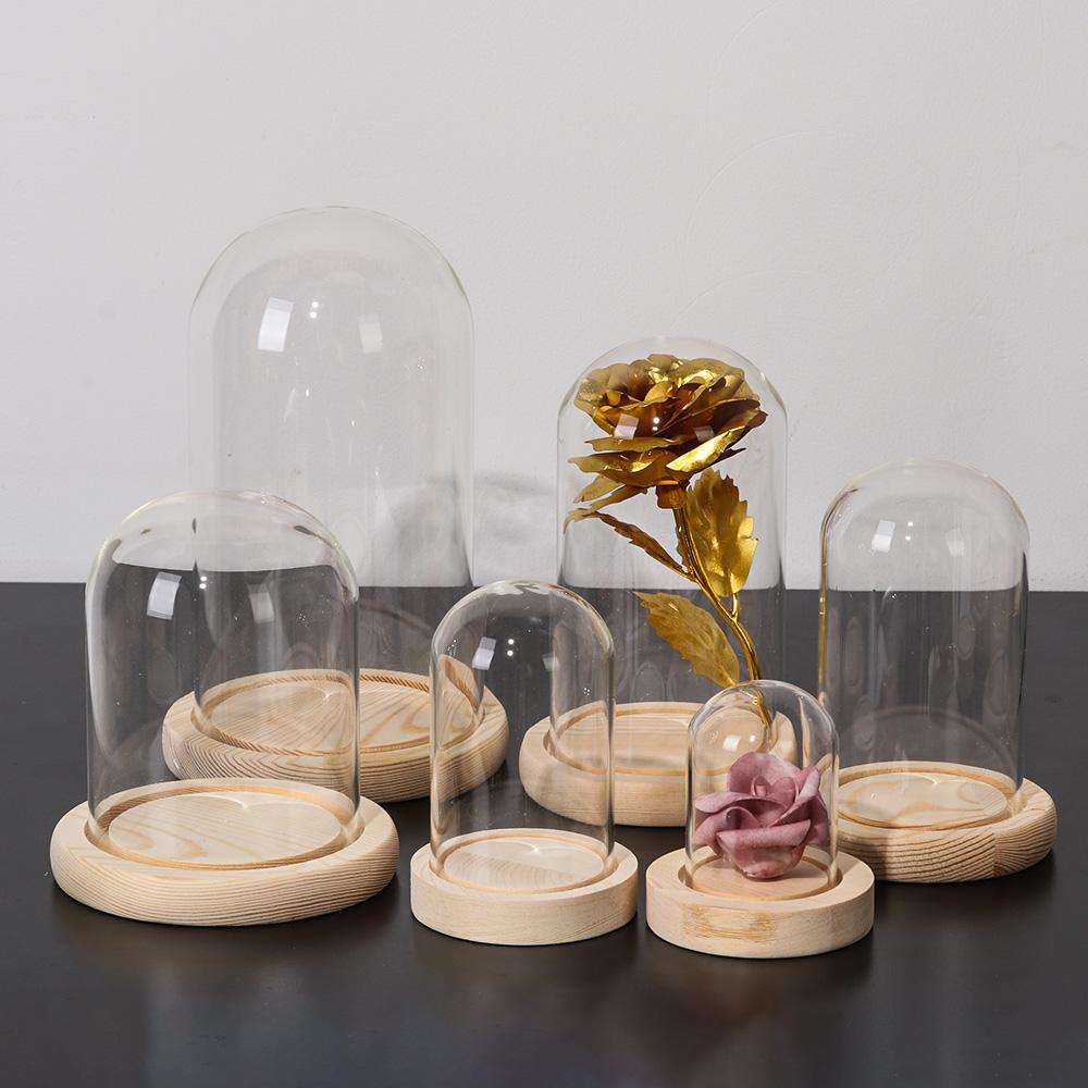 Fairy Lights Plants Transparen - Reusable Bottle recension och pris